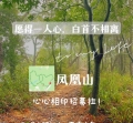 【12.04 一见倾心活动召集】