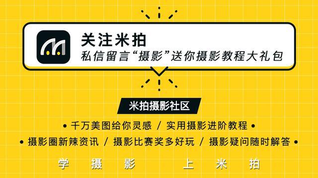 动物园、海洋馆该不该存在?看看英国摄影师镜头下的动物