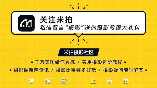 动物园、海洋馆该不该存在？看看英国摄影师镜头下的动物