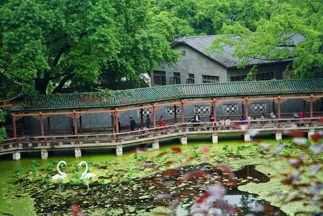 重庆有座公园建于清朝，风景如画门票0元，许多摄影大片都这拍的
