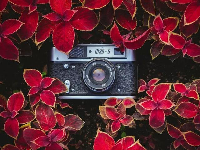 入门 5 年的摄影师告诉你，人生第一台相机怎么买