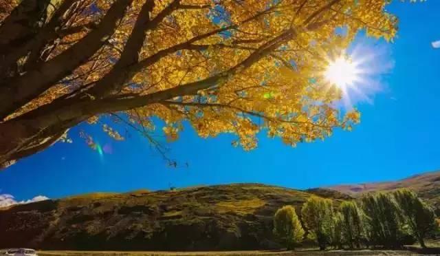 国内最适合秋季摄影的8大圣地！你去过哪几个？