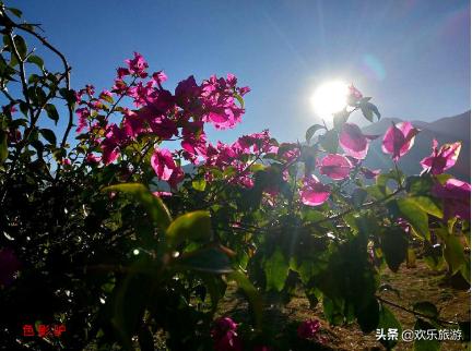 云南旅游！摄影天堂一个姑娘我独自跟团出发了！(请点击)