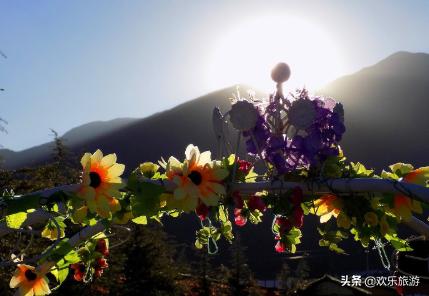 云南旅游!摄影天堂一个姑娘我独自跟团出发了!(请点击)