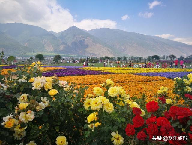 云南旅游！摄影天堂一个姑娘我独自跟团出发了！(请点击)