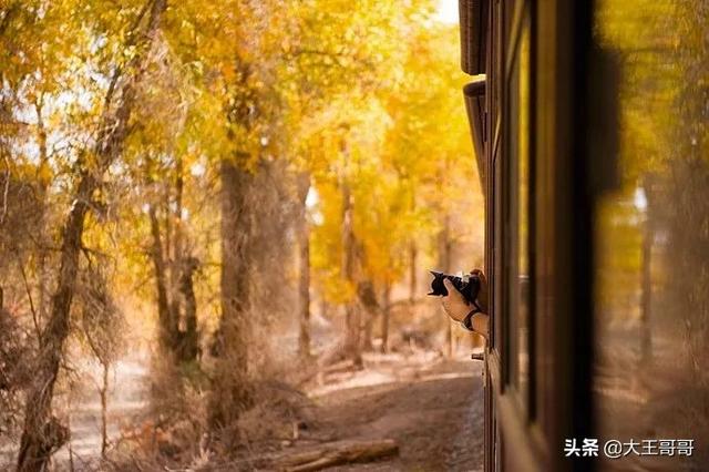 北疆看风景,南疆看人文!为什么新疆是摄影爱好者必去之地?