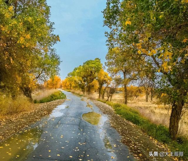 北疆看风景,南疆看人文!为什么新疆是摄影爱好者必去之地?