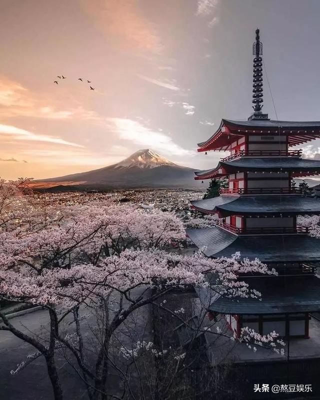 这个业余摄影师,拍摄的日本街景惊艳网友!ins点赞超300万