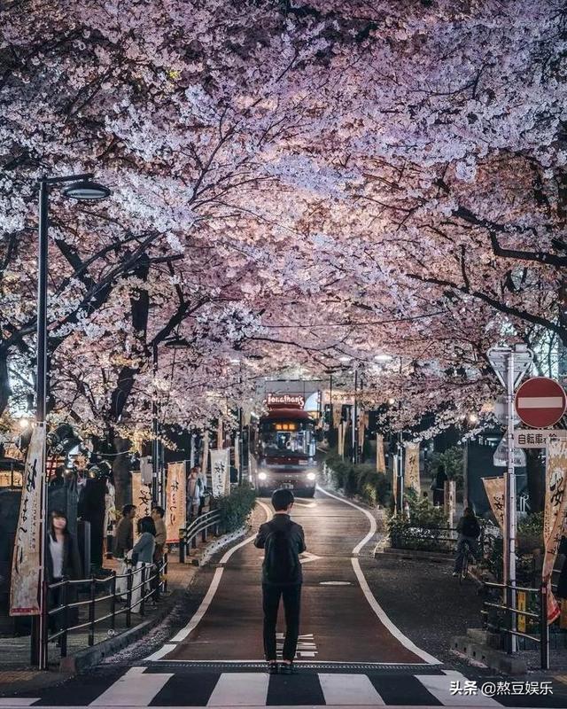 这个业余摄影师,拍摄的日本街景惊艳网友!ins点赞超300万