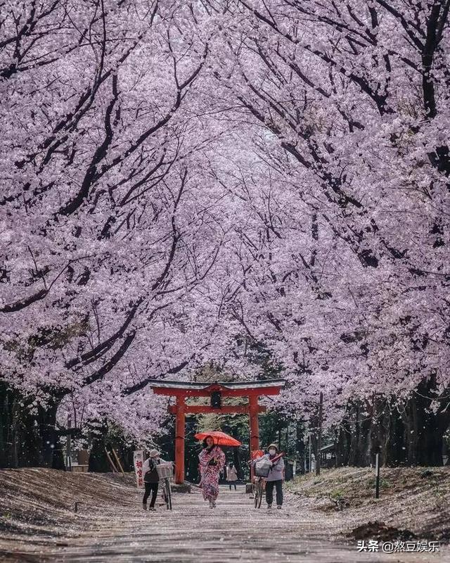这个业余摄影师,拍摄的日本街景惊艳网友!ins点赞超300万
