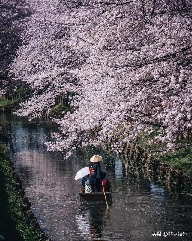 这个业余摄影师,拍摄的日本街景惊艳网友!ins点赞超300万
