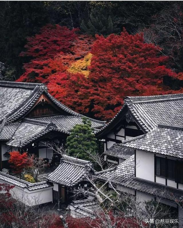 这个业余摄影师,拍摄的日本街景惊艳网友!ins点赞超300万