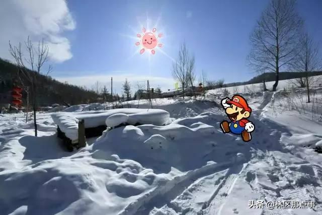 旅游圈和摄影圈里的朋友们 原汁原味原生态的雪景来了!
