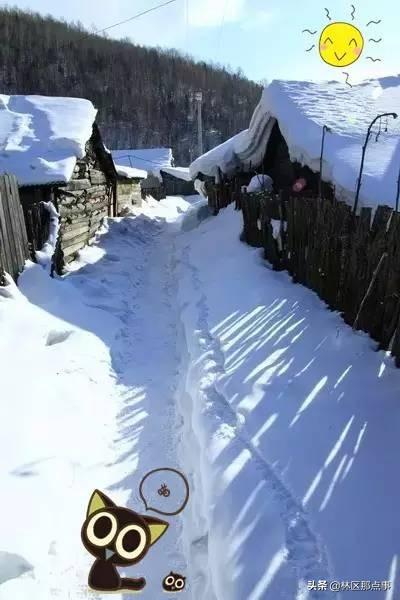 旅游圈和摄影圈里的朋友们 原汁原味原生态的雪景来了!