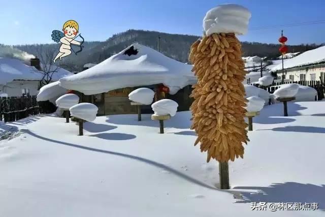 旅游圈和摄影圈里的朋友们 原汁原味原生态的雪景来了!