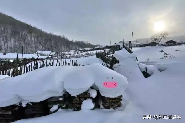 旅游圈和摄影圈里的朋友们 原汁原味原生态的雪景来了！