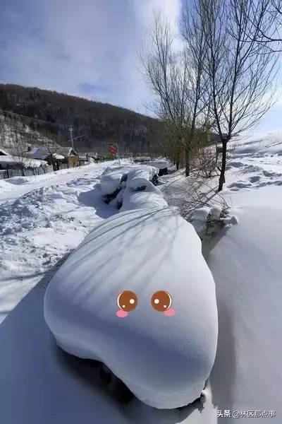 旅游圈和摄影圈里的朋友们 原汁原味原生态的雪景来了!