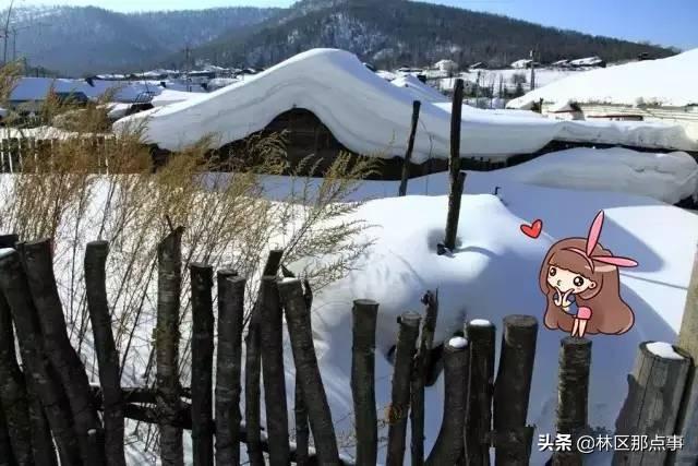 旅游圈和摄影圈里的朋友们 原汁原味原生态的雪景来了!