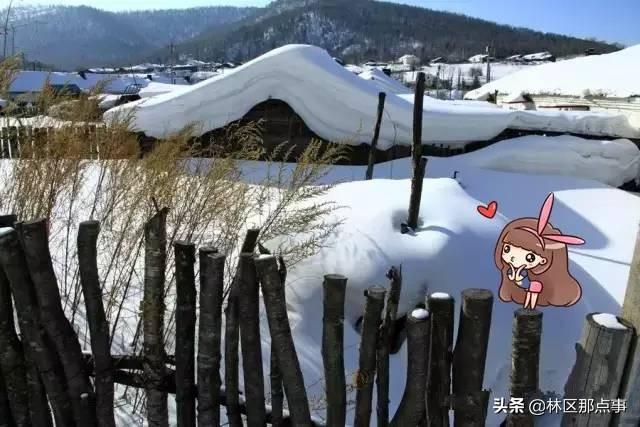 旅游圈和摄影圈里的朋友们 原汁原味原生态的雪景来了！