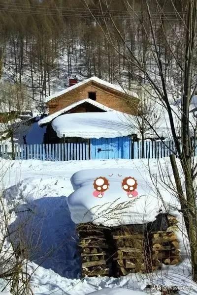 旅游圈和摄影圈里的朋友们 原汁原味原生态的雪景来了!