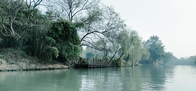 雾锁西溪 (手机摄影)