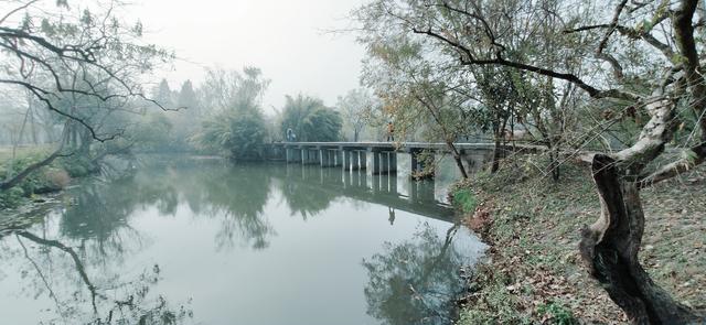 雾锁西溪 (手机摄影)