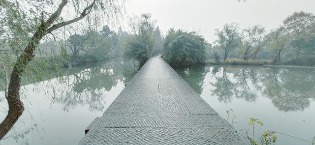 雾锁西溪 (手机摄影)
