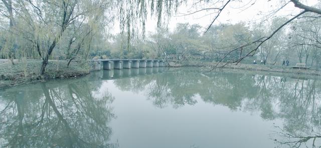 雾锁西溪 （手机摄影）