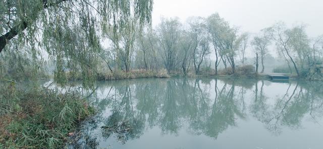 雾锁西溪 （手机摄影）