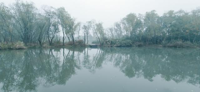 雾锁西溪 （手机摄影）