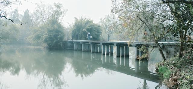 雾锁西溪 （手机摄影）