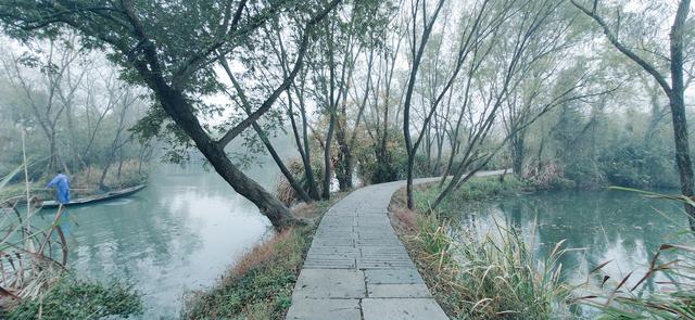 雾锁西溪 (手机摄影)