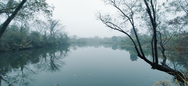 雾锁西溪 （手机摄影）