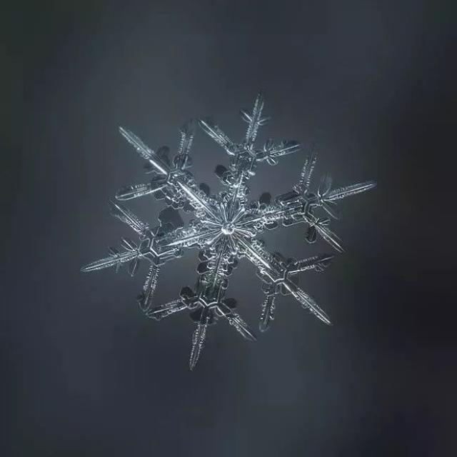 俄罗斯一位摄影师花9年时间,拍下了雪花最美的一面