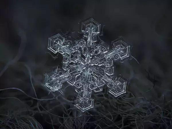 俄罗斯一位摄影师花9年时间,拍下了雪花最美的一面