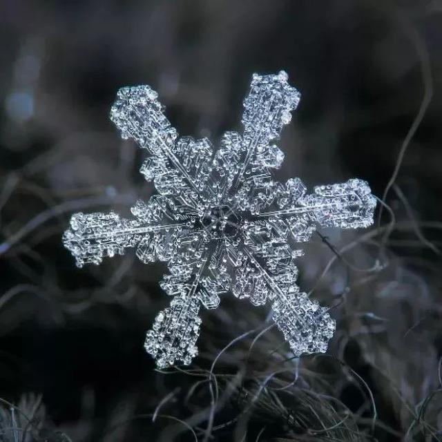 俄罗斯一位摄影师花9年时间,拍下了雪花最美的一面