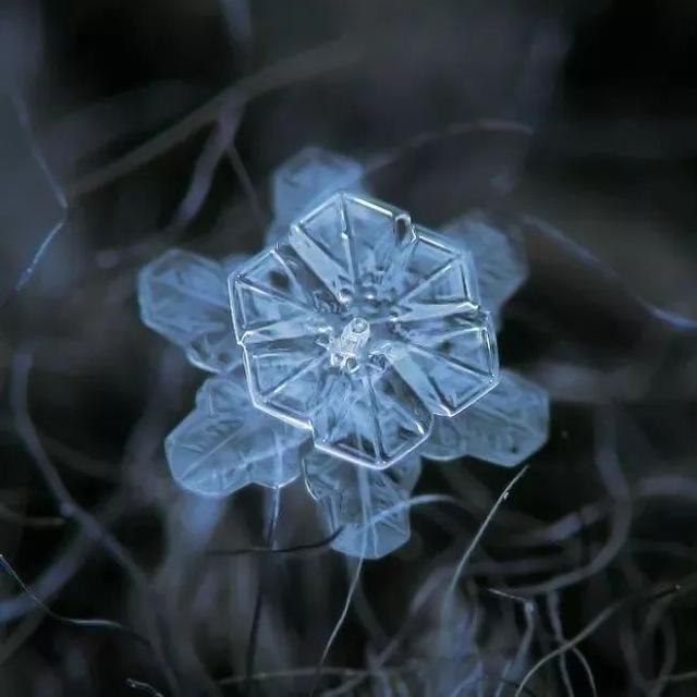 俄罗斯一位摄影师花9年时间，拍下了雪花最美的一面