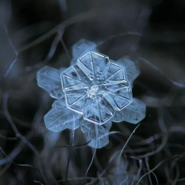 俄罗斯一位摄影师花9年时间,拍下了雪花最美的一面
