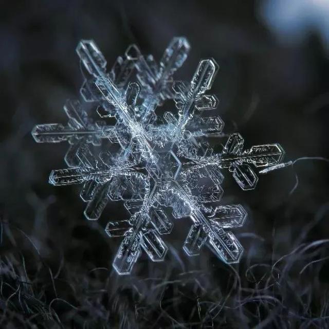 俄罗斯一位摄影师花9年时间,拍下了雪花最美的一面
