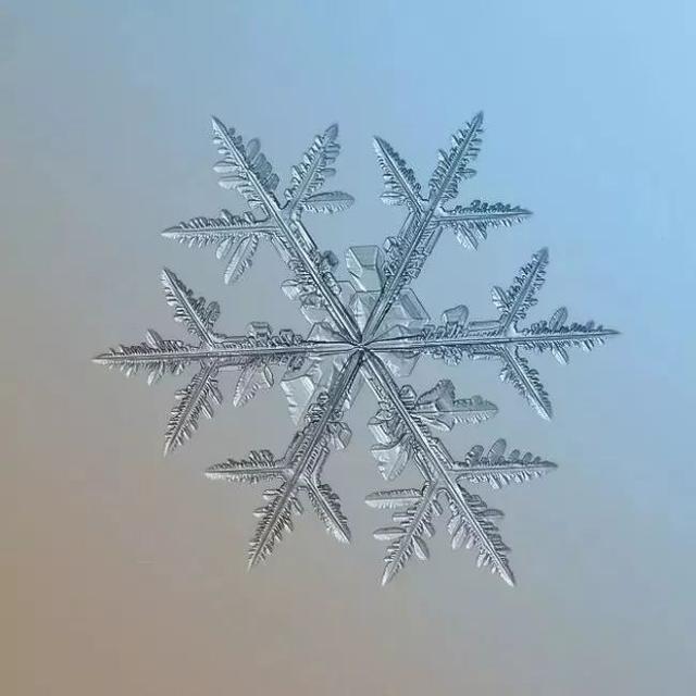 俄罗斯一位摄影师花9年时间,拍下了雪花最美的一面