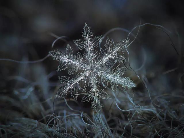 俄罗斯一位摄影师花9年时间,拍下了雪花最美的一面