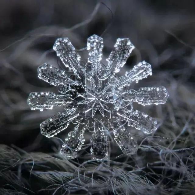 俄罗斯一位摄影师花9年时间,拍下了雪花最美的一面