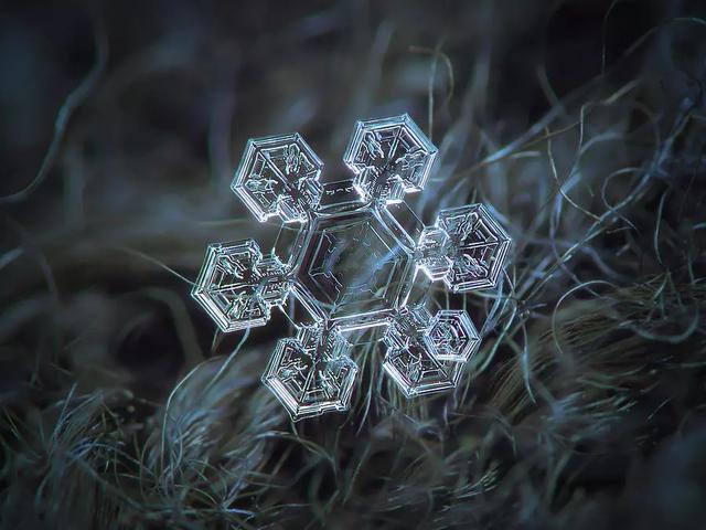 俄罗斯一位摄影师花9年时间,拍下了雪花最美的一面