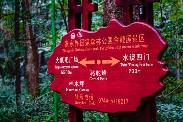 张家界哪里好玩?这个地方是摄影师最爱之地,人少景美又清静