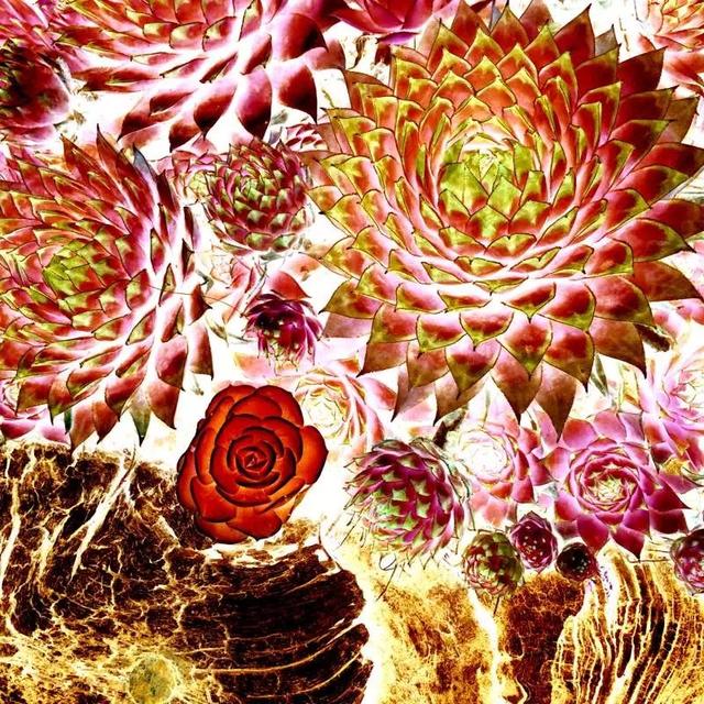 摄影浅谈与游戏摄影分享,香喷喷的拍照模式