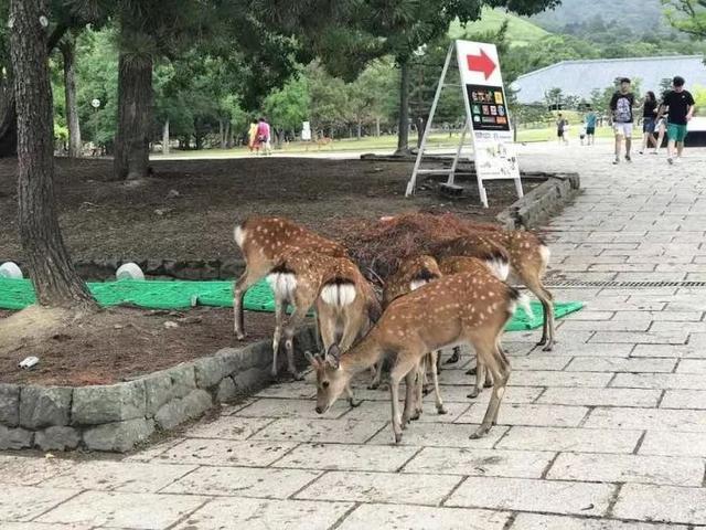 假期旅游不用怕,他用行动证明:摄影,手机就够了
