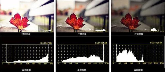 这5个拍摄技巧，帮助你更好地拍好照片