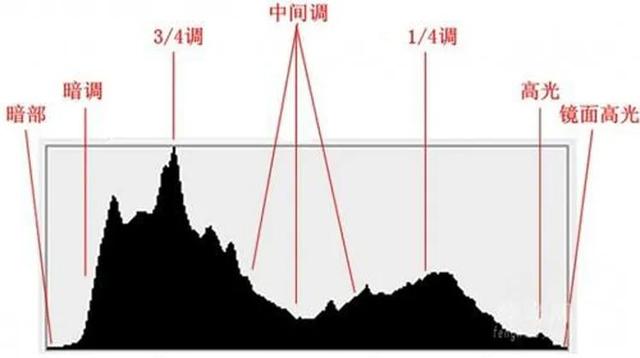 这5个拍摄技巧，帮助你更好地拍好照片