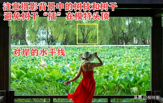 人人都是摄影师怎么拍出彩？用这些方法，拍出“技术含量”吧