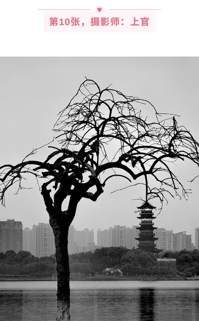 想提升摄影技术？这些技巧绝不能错过！（影展点评第520期）